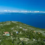 Albina Skitaca